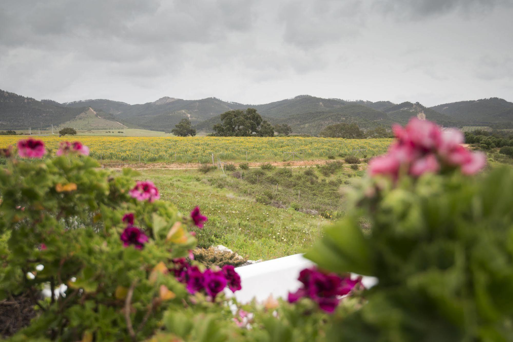 Herdade Do Amarelo Nature & Spa วิลานอวา ดิ มิลฟงติส ภายนอก รูปภาพ